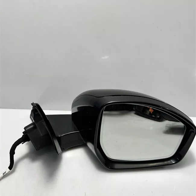 Retrovisore esterno regolazione elettrica destro Ripieg.elettrico con mem./luce/telec