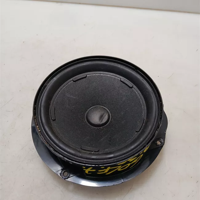 Altoparlante porta anteriore sinistro