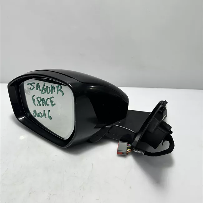 Retrovisore esterno regolazione elettrica sinistro Ripieg.elettrico con memory