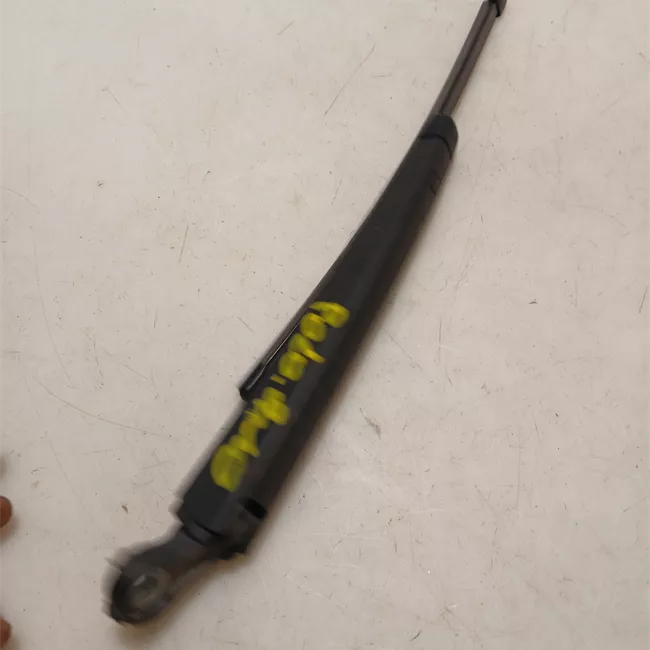 Braccio tergilunotto