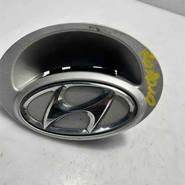 Maniglia portello posteriore