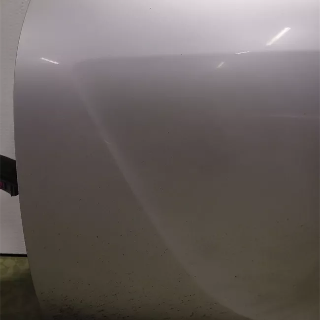 Porta anteriore sinistra