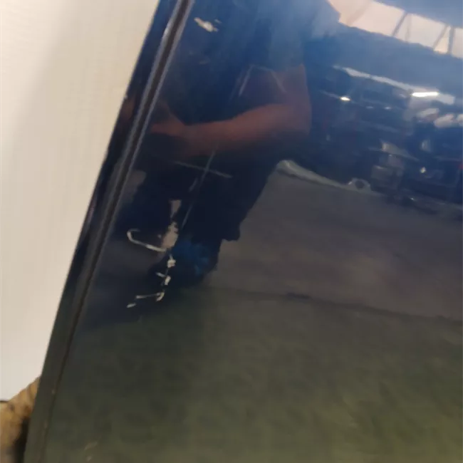 Porta posteriore sinistra