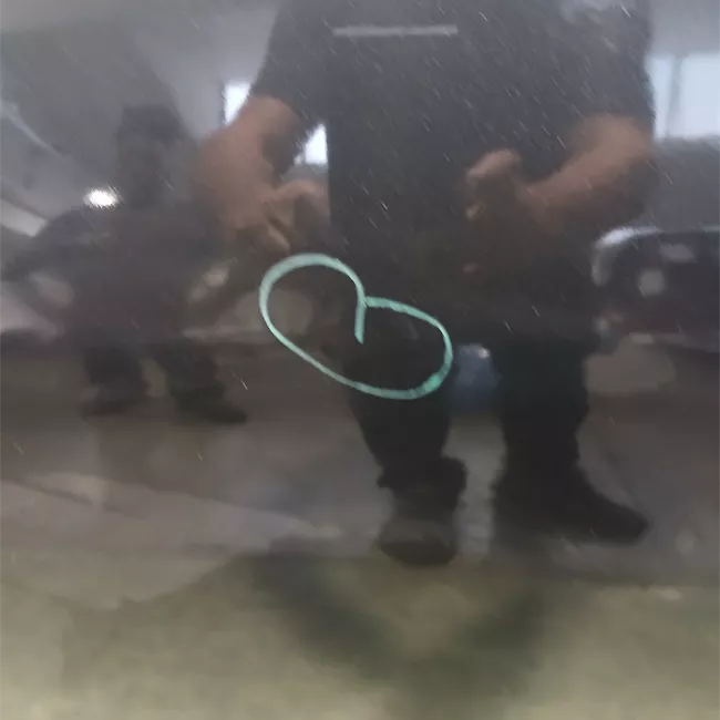 Pannello esterno porta posteriore destro