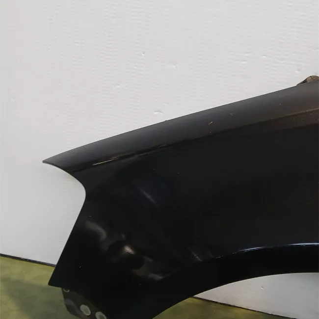 Parafango anteriore sinistro