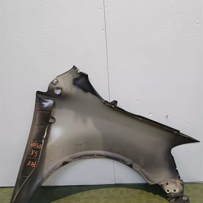 Parafango anteriore sinistro