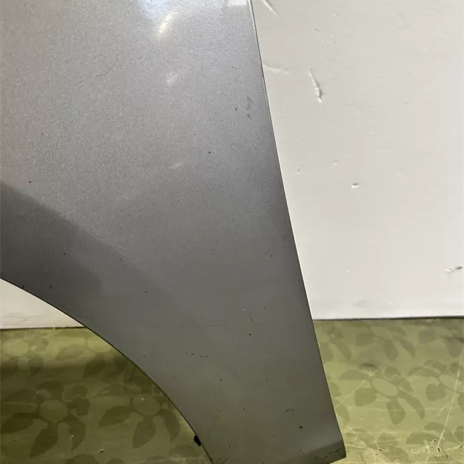 Parafango anteriore sinistro