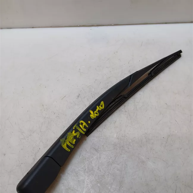 Braccio tergilunotto