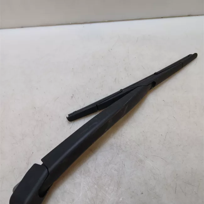 Braccio tergilunotto