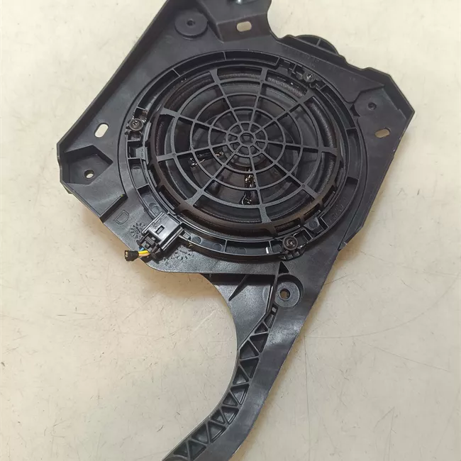 Altoparlante porta anteriore destro