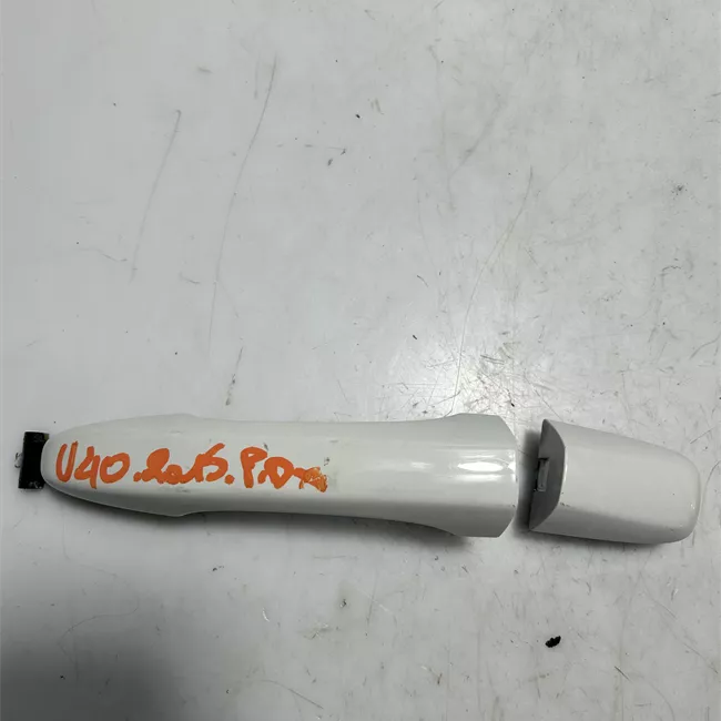 Maniglia porta posteriore destra primer