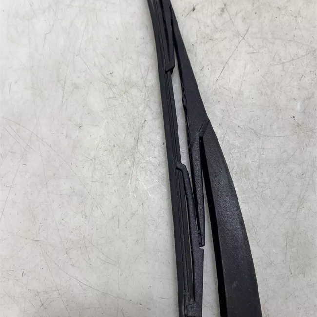 Braccio tergilunotto