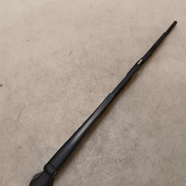 Braccio tergilunotto