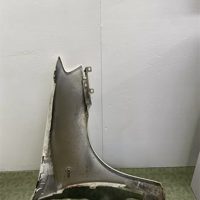 Parafango anteriore sinistro