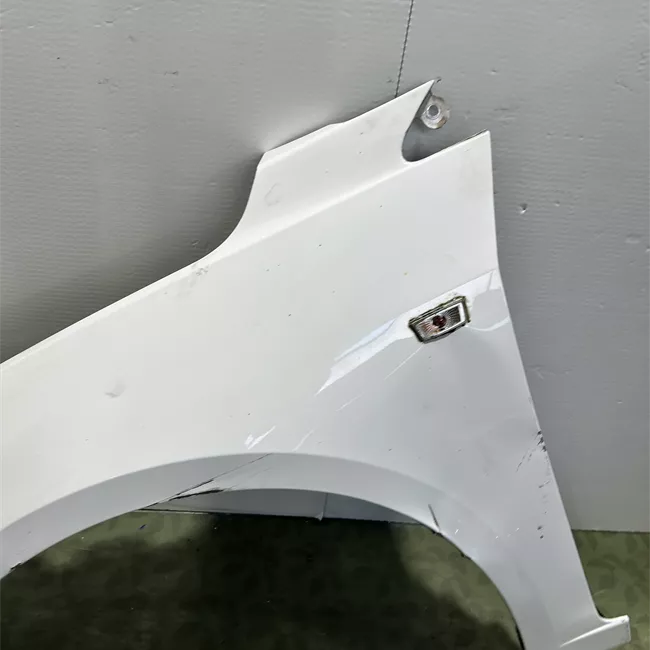 Parafango anteriore sinistro