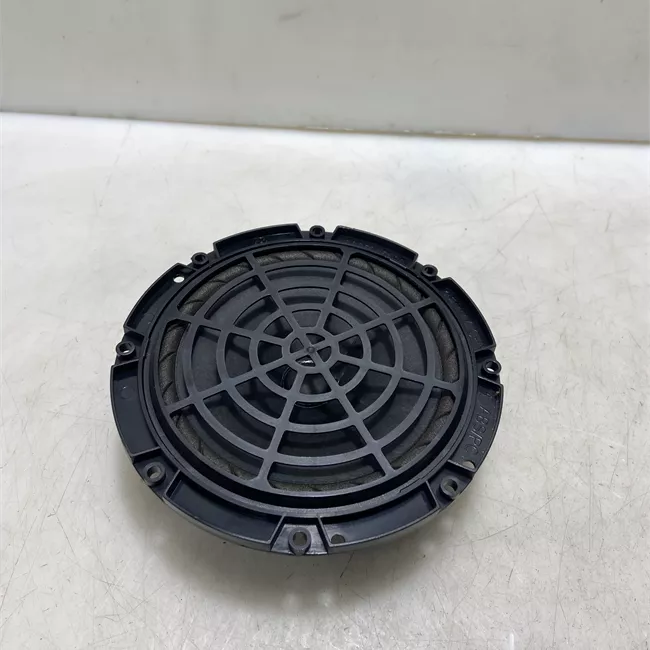 Altoparlante porta anteriore sinistro Diam 165