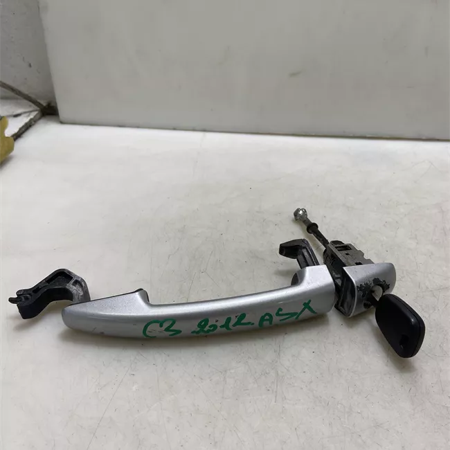 Maniglia porta anteriore sinistra primer