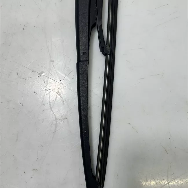 Braccio con spazzola tergilunotto