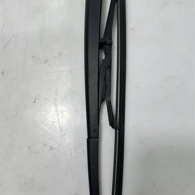 Braccio con spazzola tergilunotto