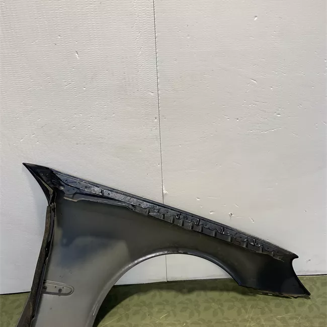 Parafango anteriore sinistro