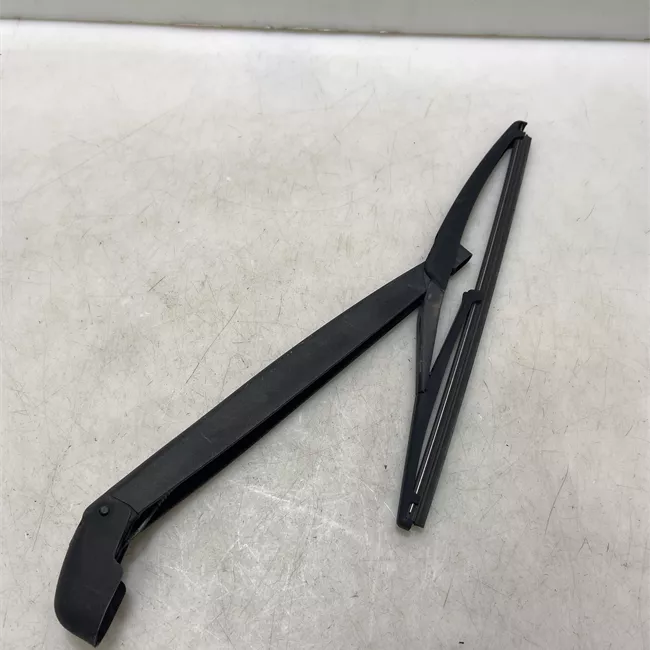 Braccio con spazzola tergilunotto