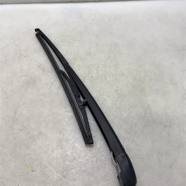 Braccio con spazzola tergilunotto