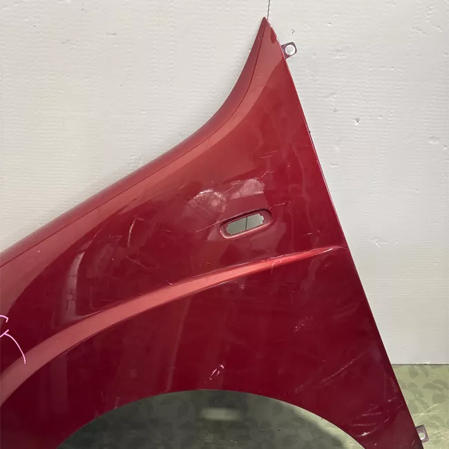 Parafango anteriore sinistro