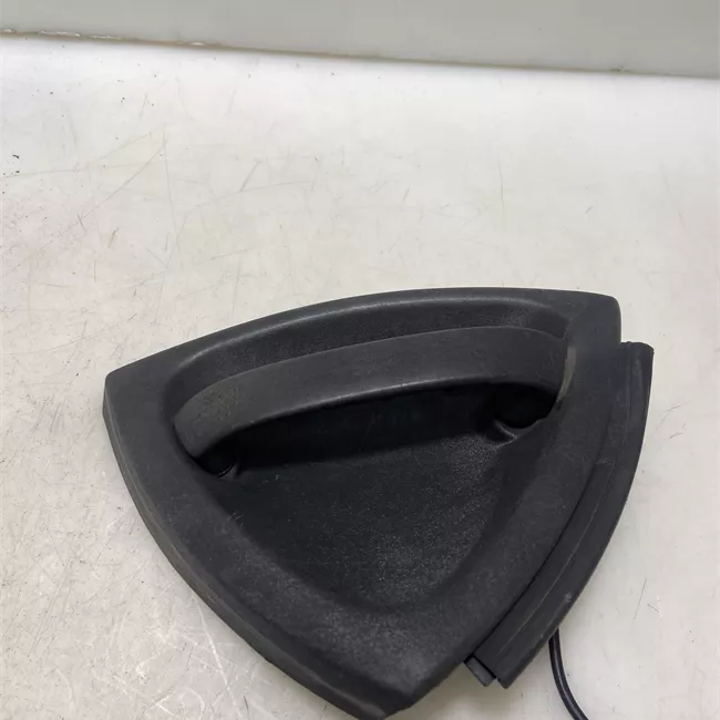 Maniglia porta anteriore sinistra