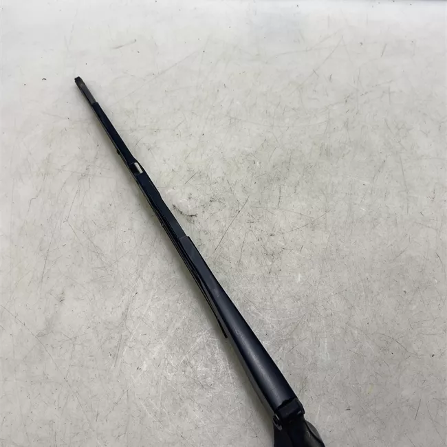 Braccio tergilunotto