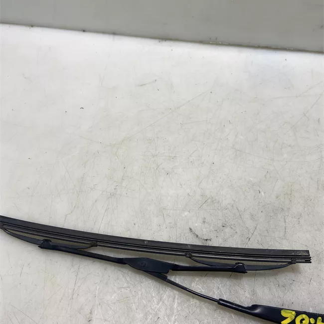 Braccio tergilunotto