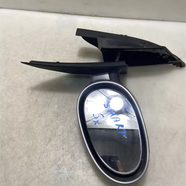 Retrovisore esterno sinistro Argento alluminio