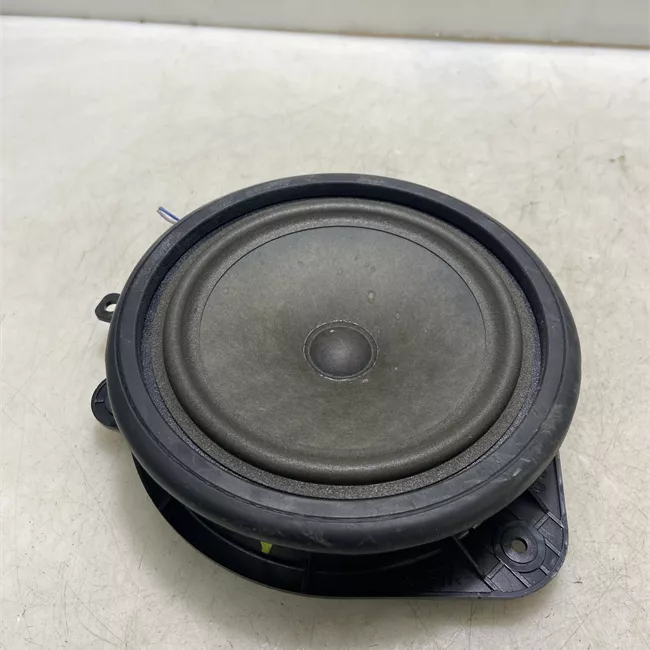 Altoparlante porta posteriore destro con sistema Bose