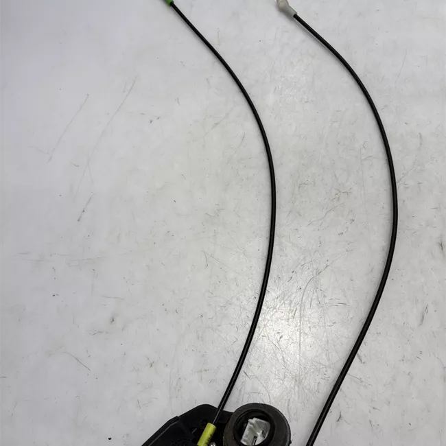 Serratura porta posteriore sinistra