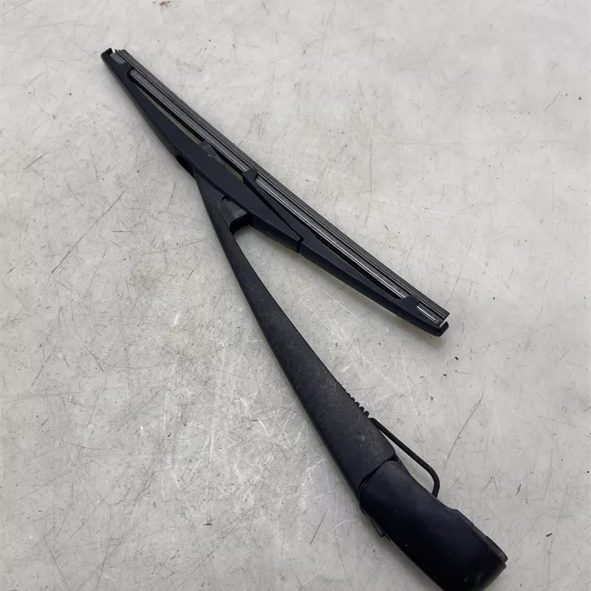 Braccio tergilunotto