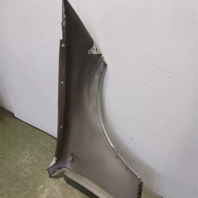 Parafango anteriore sinistro