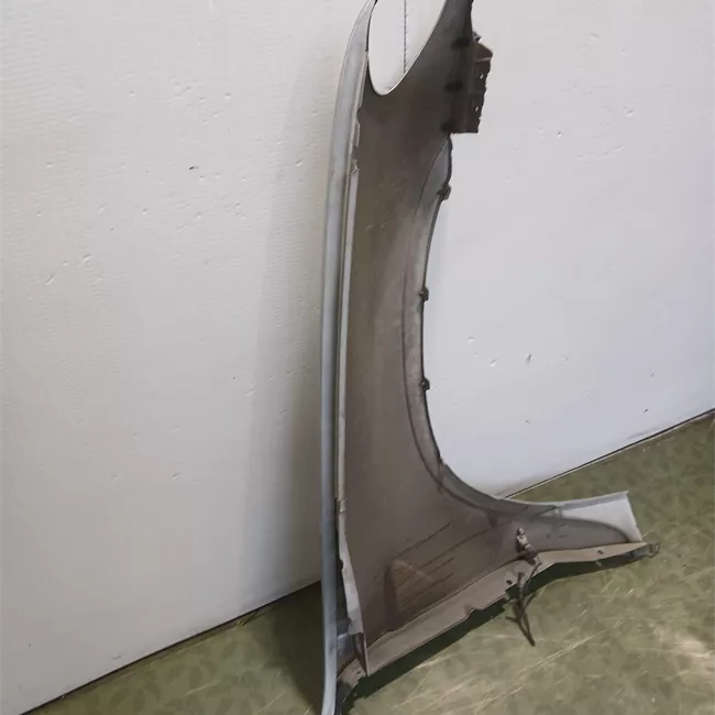 Parafango anteriore sinistro 10-03>