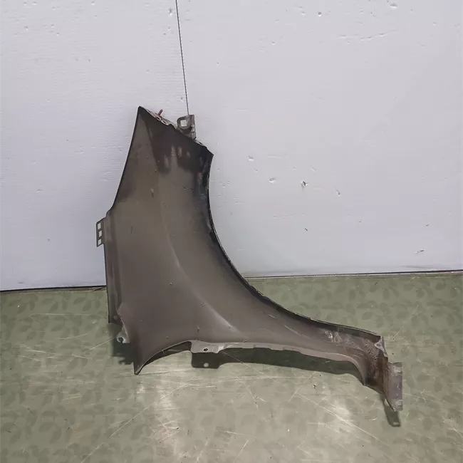 Parafango anteriore sinistro