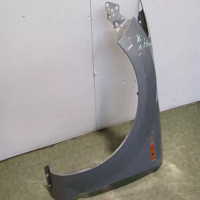 Parafango anteriore sinistro