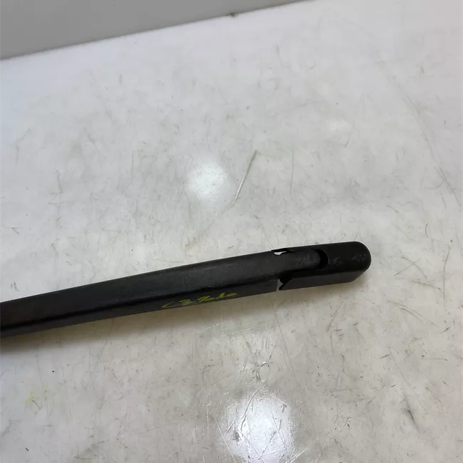 Braccio tergilunotto