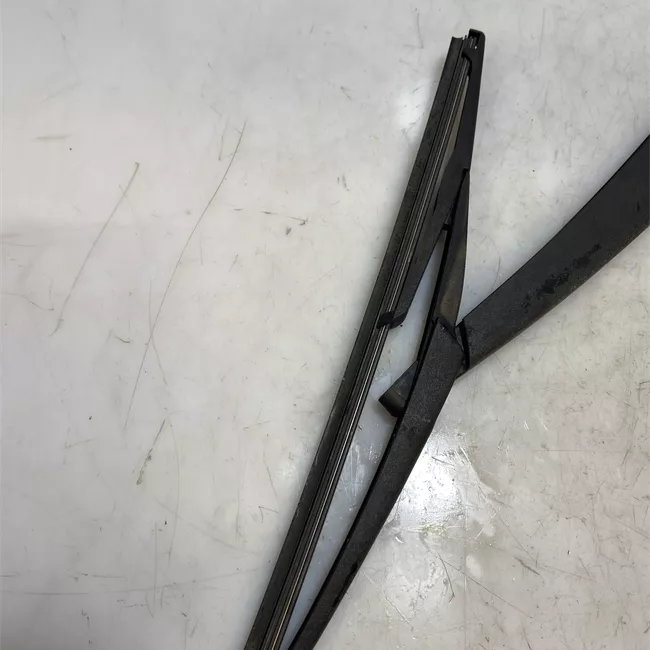 Braccio tergilunotto