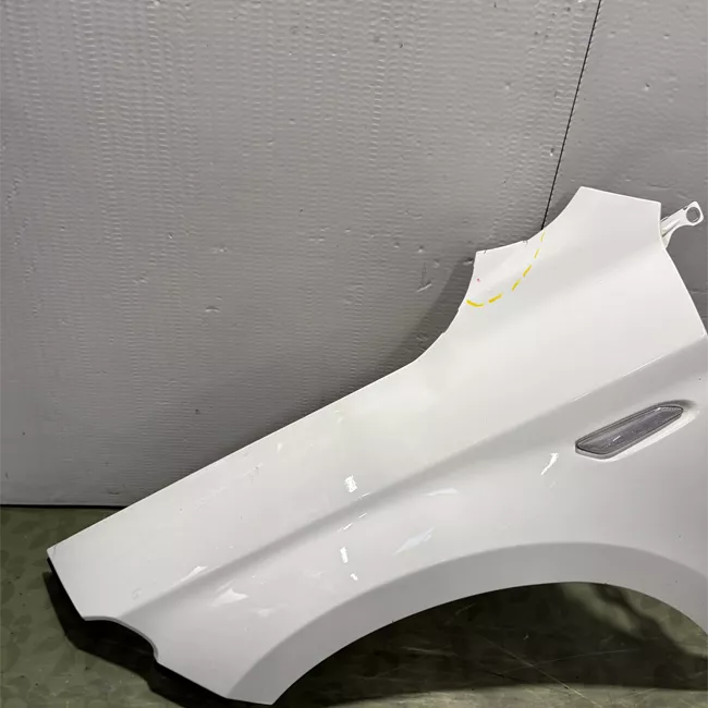 Parafango anteriore sinistro