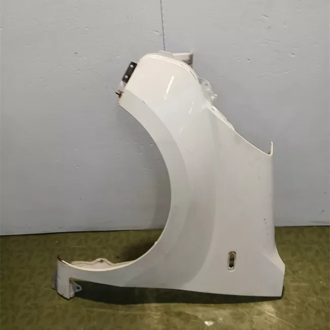 Parafango anteriore sinistro