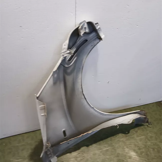 Parafango anteriore sinistro