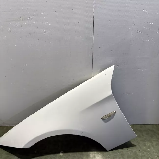 Parafango anteriore sinistro