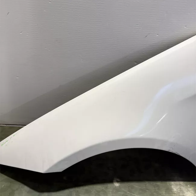 Parafango anteriore sinistro