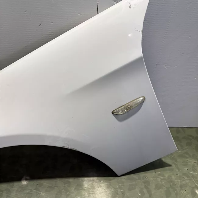 Parafango anteriore sinistro