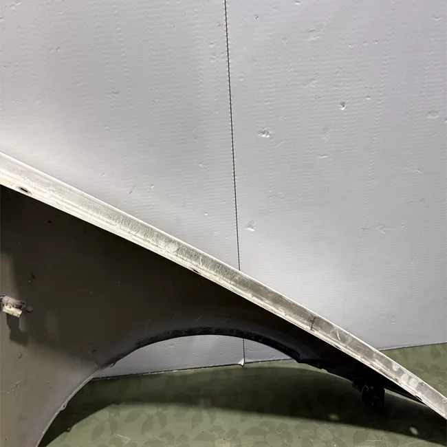 Parafango anteriore sinistro