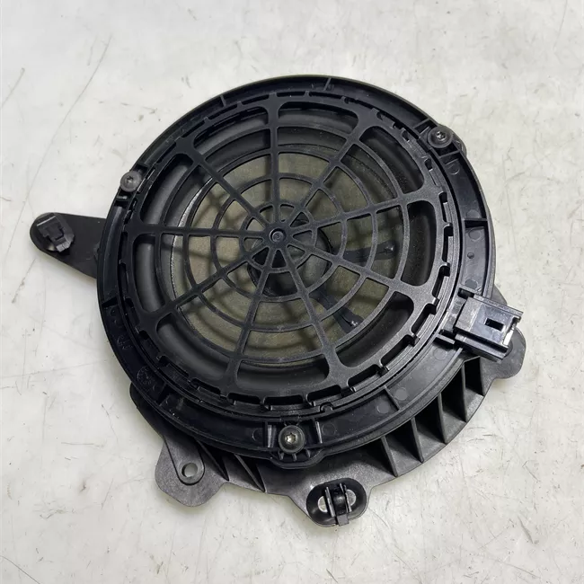 Altoparlante porta anteriore sinistro