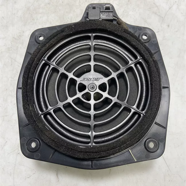 Altoparlante porta posteriore sinistro