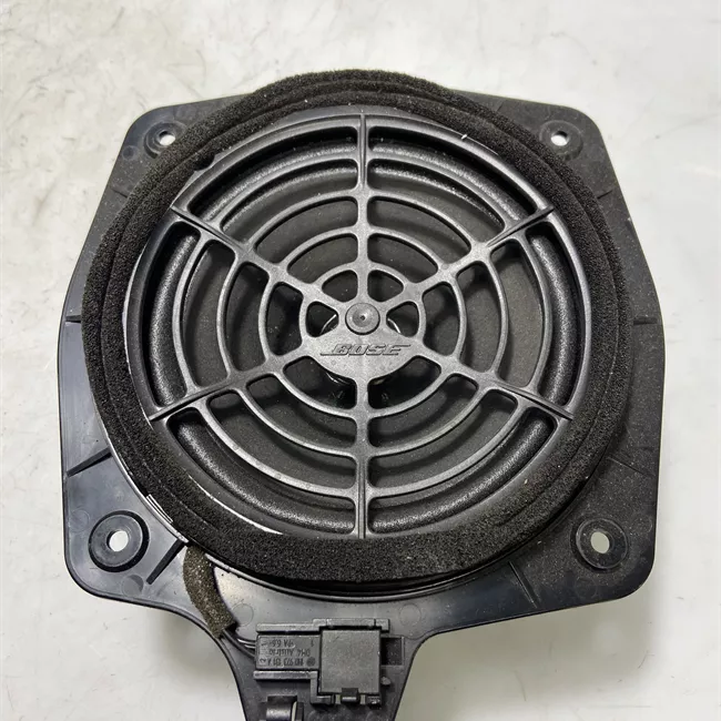 Altoparlante porta posteriore destro